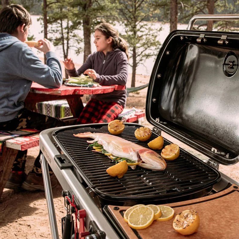 Weber 9010001 Traveler Portable Grill - Image 2