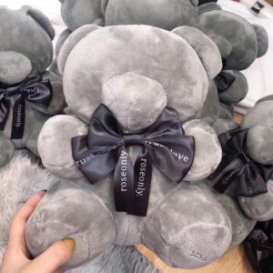 Bear Hug Plush Gift