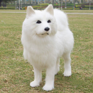 Samoyed Plush Toy